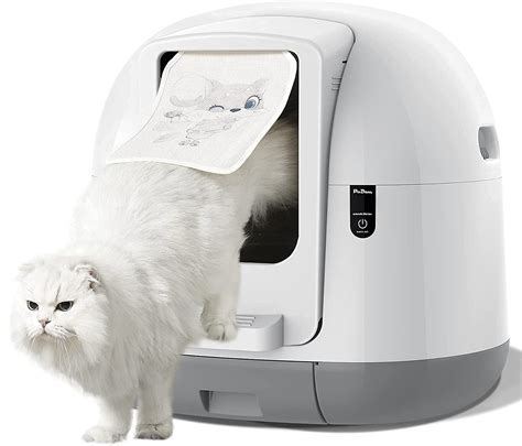 electric litter box battery|self cleaning litter box temu.